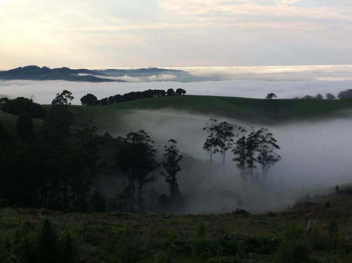 Llarrinda Bed & Breakfast Foster Bagian luar foto
